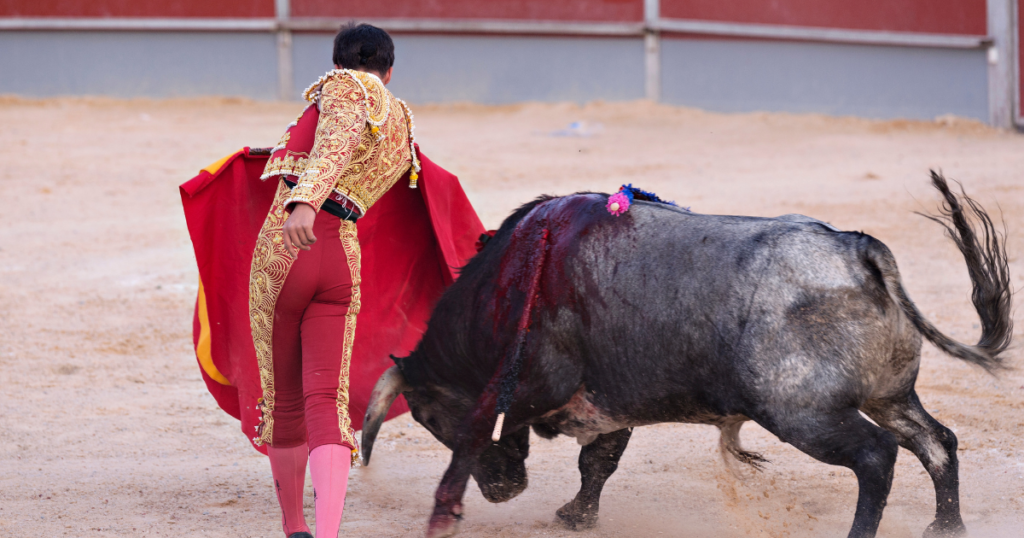 Bullfighting