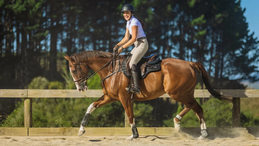 Horse Riding