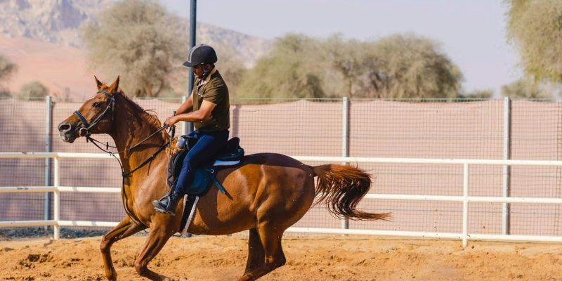 horse riding