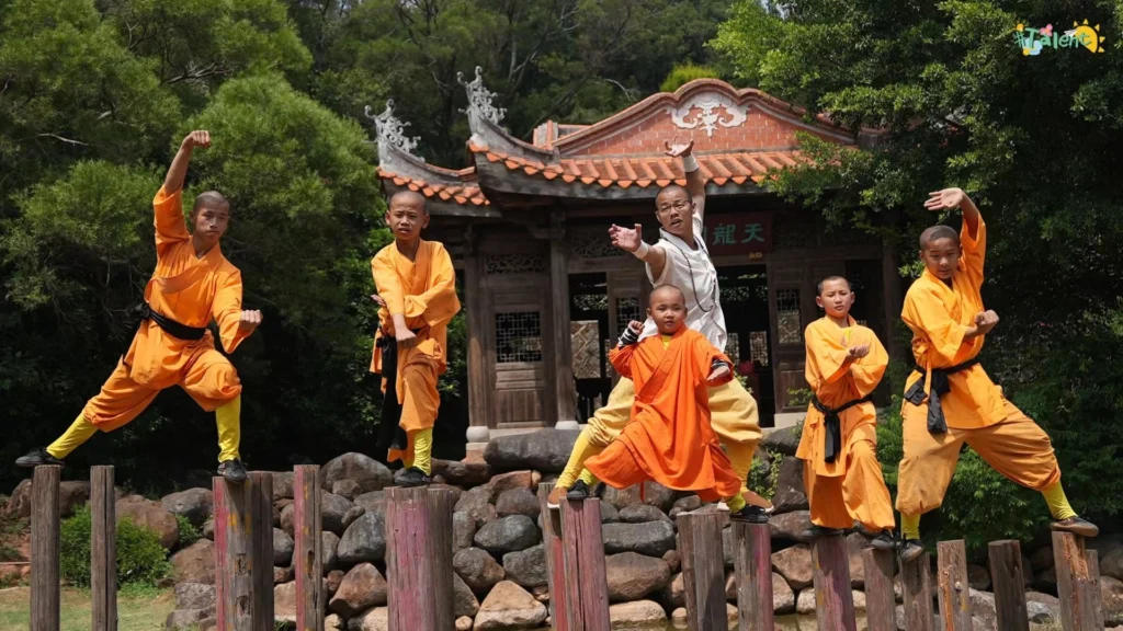 Wushu